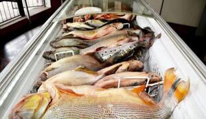 Semana Santa activa el negocio del pescado en Remanso y acelera las ventas de temporada