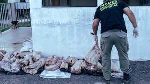 Cayeron con 150 kilos de yacaré en control por Semana Santa