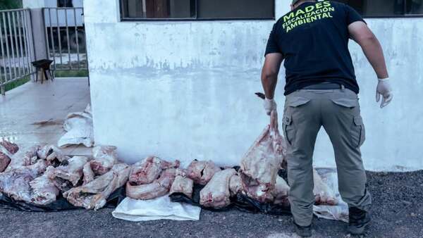 Cayeron con 150 kilos de yacaré en control por Semana Santa