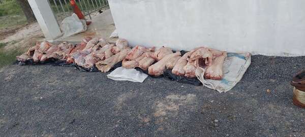 Incautan 150 kilos de carne de yacaré en control policial en Villa Oliva - Policiales - ABC Color