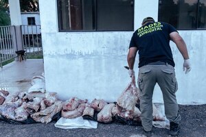 Decomisan carne de yacaré en Ñeembucú