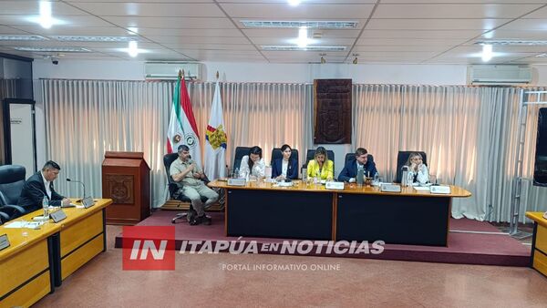 PRETENDEN AVANZAR CON MEJORAS DEL SERVICIO ELÉCTRICO EN ITAPÚA