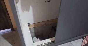 Diario HOY | Escape de película en Capitán Bado: supuesto narco huye por un túnel oculto