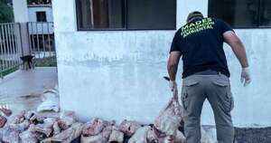 Diario HOY | Decomisan 150 kg de carne de caimán yacaré en Ñeembucú
