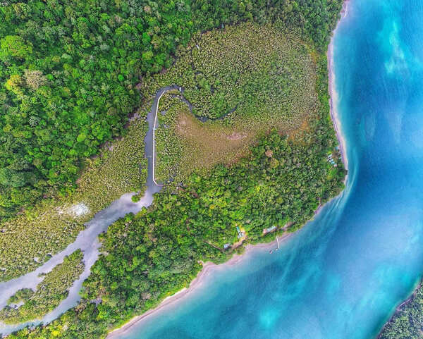 "El pulso del bosque": Convocatoria abierta para residencia en el Pacífico colombiano