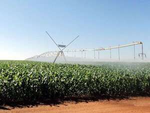 Precios globales de los alimentos subieron en marzo, según FAO - Mundo - ABC Color