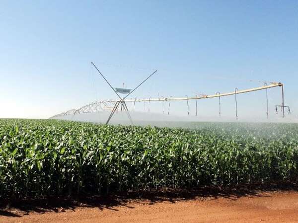 Precios globales de los alimentos subieron en marzo, según FAO - Mundo - ABC Color