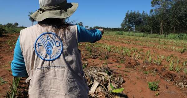 La Nación / Crisis: la FAO advierte que precios de los alimentos subieron en marzo
