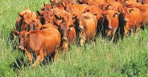 La Nación / Fiebre aftosa SAT1 preocupa al mundo: Paraguay, en vigilancia ante el brote en China