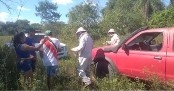 La Nación / Ñeembucú: un hombre murió por ataque de abejas