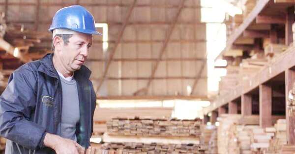 La Nación / Buscan posicionar la madera paraguaya en mercados de alto valor