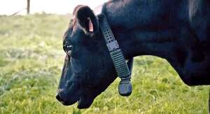 La estancia convertida en centro de datos - ABC Rural - ABC Color