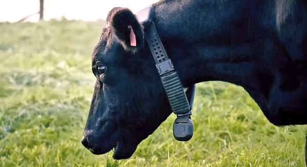 La estancia convertida en centro de datos - ABC Rural - ABC Color