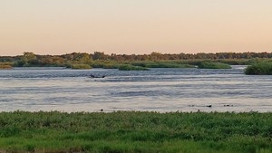 Vuelco de embarcación en el río Paraná: familia se salva de milagro en Ayolas