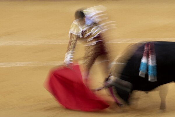 Muere corneado un extorero español cuando preparaba una corrida en Málaga