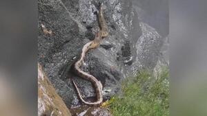 Avistan impresionante anaconda en hermoso Salto Aguaray Guazú de Capitán Bado