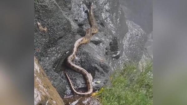 Avistan impresionante anaconda en hermoso Salto Aguaray Guazú de Capitán Bado