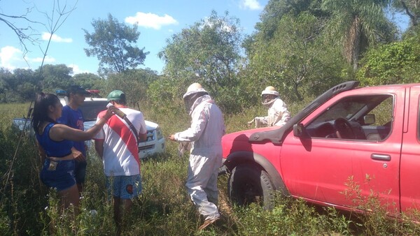 Hombre de 44 años pierde la vida tras ser atacado por abejas en Ñeembucú