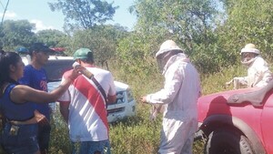 Hombre falleció tras ataque de un enjambre de abejas