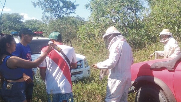 Hombre falleció tras ataque de un enjambre de abejas
