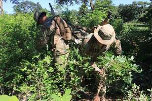 Bolivia reporta la confiscación de 300 kilos de droga durante operativos simultáneos - Mundo - ABC Color
