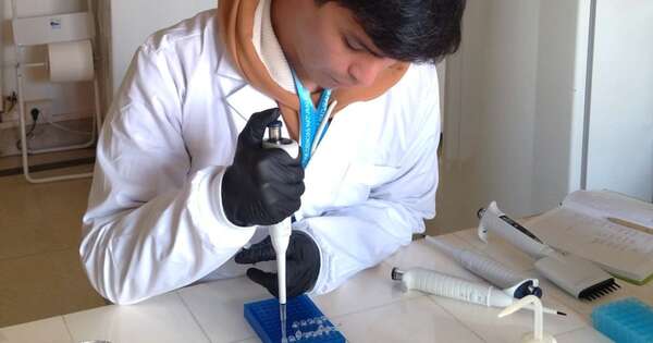 La Nación / Lanzan convocatoria: financiamiento de estancias de estudio