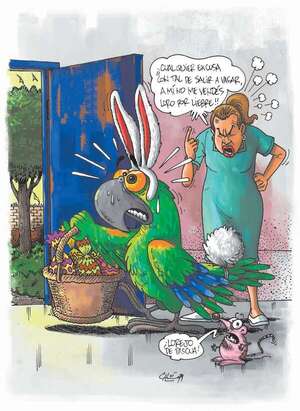 Caló rembiapo - ABC Revista - ABC Color