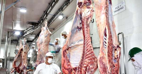 La Nación / Chile, el principal destino de la carne vacuna paraguaya
