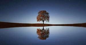 La Nación / El cultivo del aplomo