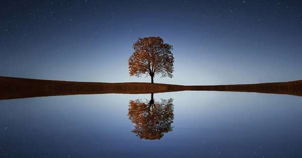 La Nación / El cultivo del aplomo