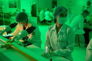 UNISUD forma médicos para el mundo - ABC Revista - ABC Color