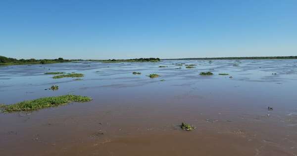 La Nación / A orillas del río Paraguay hallaron el cuerpo de una mujer que habría sido asesinada