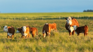 Valor promedio de la tierra en Uruguay superó los US$ 4.000 por hectárea en 2025