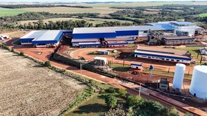 Grupo Concepción acelera su apuesta al cerdo y prepara la inauguración de una de las industrias más modernas de Sudamérica