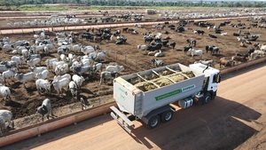 “Un grado puede cambiar el mercado”: el clima se mete en la ecuación de la carne y puede empujar los precios