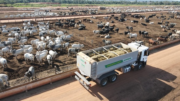 “Un grado puede cambiar el mercado”: el clima se mete en la ecuación de la carne y puede empujar los precios
