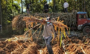 Incertidumbre en Troche por obra paralizada del tren de molienda de Petropar - OviedoPress
