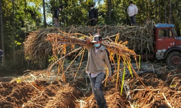 Incertidumbre en Troche por obra paralizada del tren de molienda de Petropar - OviedoPress