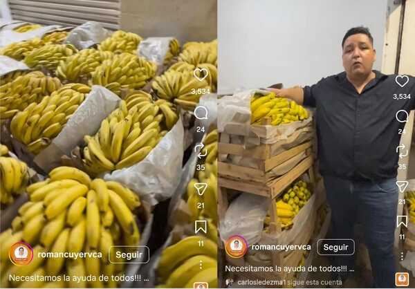 Rechazan 400 cajas de banana destinadas a Hambre Cero y productores denuncian millonaria pérdida
