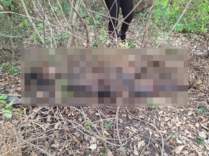 Popular / Investigan cadáver de mujer encontrado, sospechan que fue asesinada de un balazo en el cráneo.