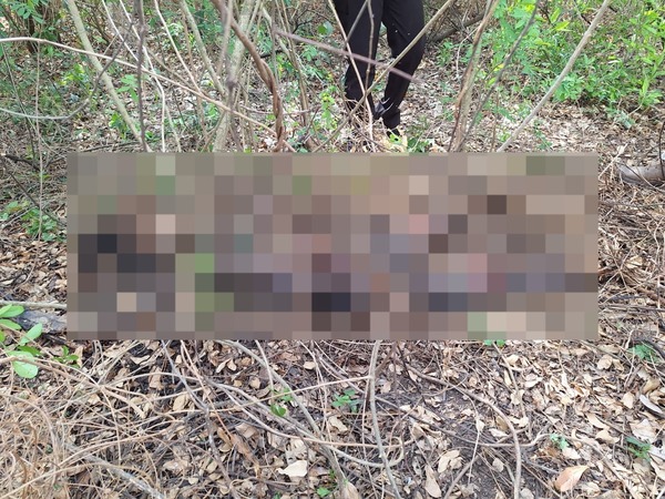 Popular / Investigan cadáver de mujer encontrado, sospechan que fue asesinada de un balazo en el cráneo.