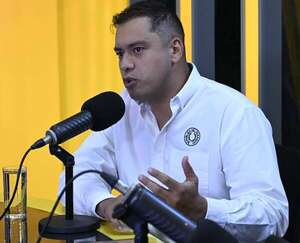 Juez otorga medidas alternativas a Miguel Prieto - Política - ABC Color