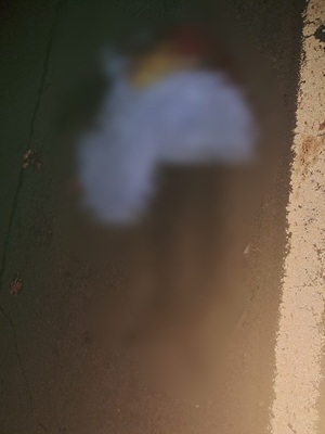 Peatón indígena fallece tras múltiple choque en Pasiño - Concepción al Día