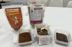 Industria utiliza insecto con aporte de 50% de proteína para alimentación animal - 5Días
