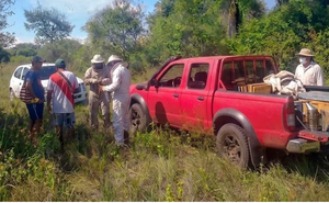 Ataque de abejas acaba con un hombre fallecido en Pilar