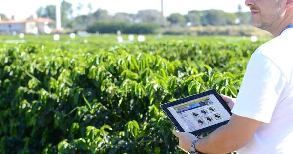 La Nación / Nueva planta de agroquímicos impulsa USD 50 millones en inversión