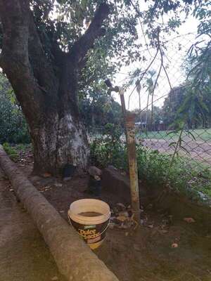 Crisis de agua potable golpeó a barrios de Ayolas en días santos - Nacionales - ABC Color