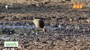 Video: El Chaco Avanza | Laguna salada