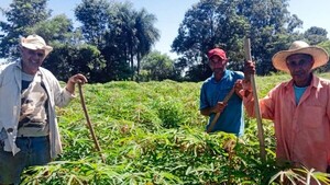 Dan espaldarazo a la agricultura familiar campesina en Itapúa