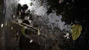 Lluvias para este martes en gran parte del país